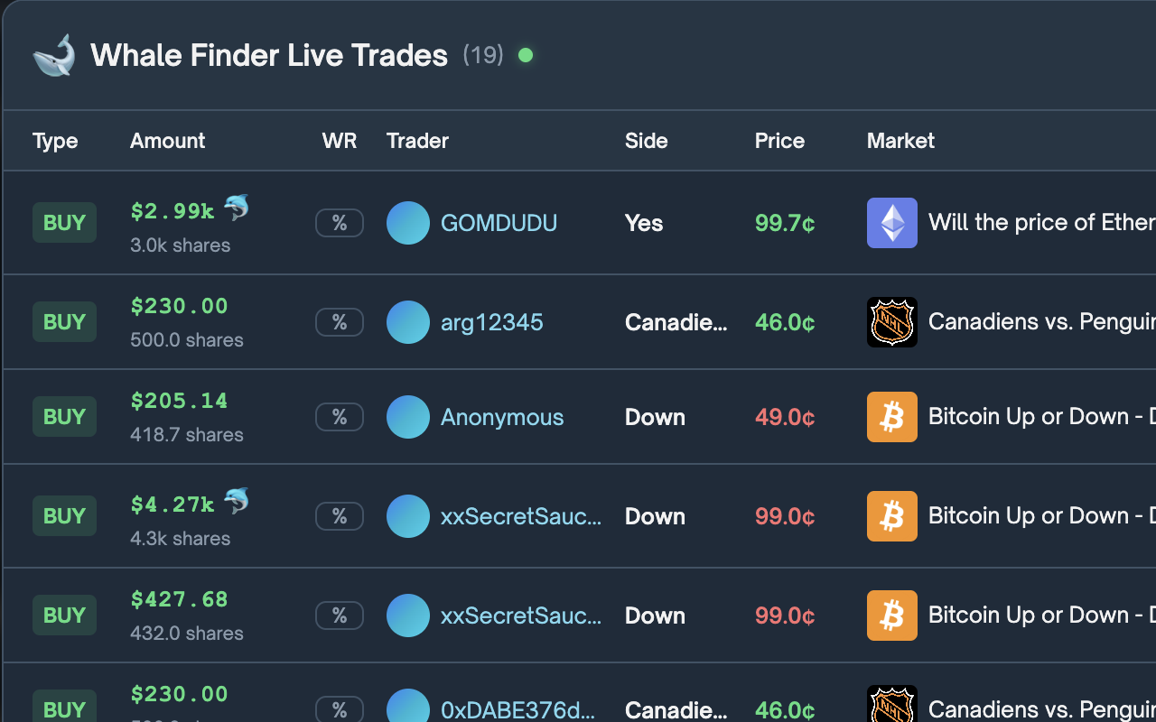 Whale Finder live trades